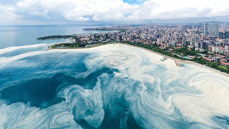 İstanbul'dan şok görüntü! Kabus geri döndü