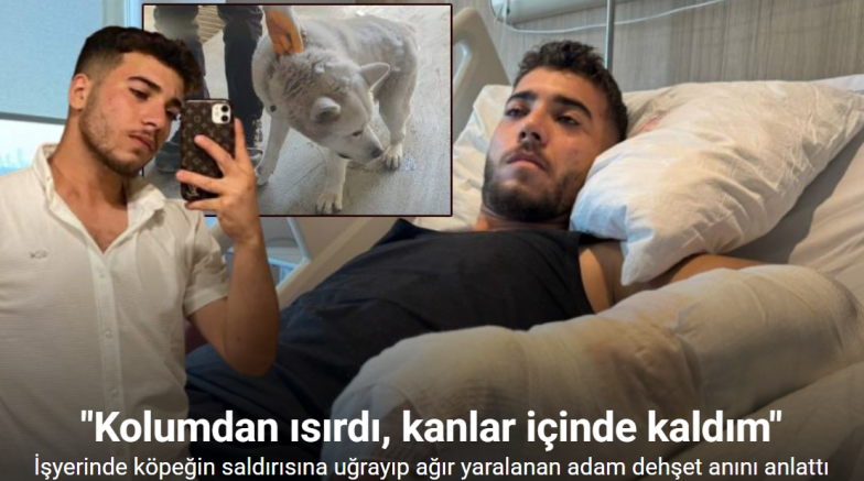 İşyerindeki köpeğin saldırısı nedeniyle ağır yaralanan adam o anları anlattı: