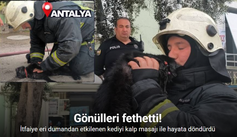 İtfaiye eri yangında dumandan etkilenen kediyi kalp masajı ile hayata döndürdü