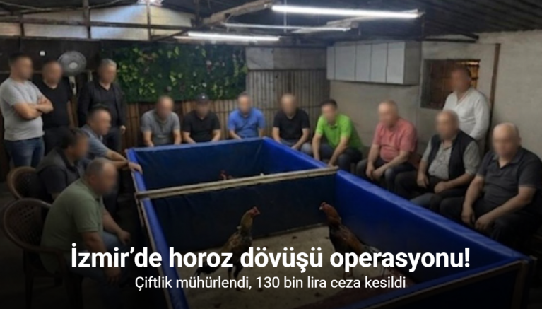 İzmir’de horoz dövüşü operasyonu: Çiftlik mühürlendi, 130 bin lira ceza kesildi