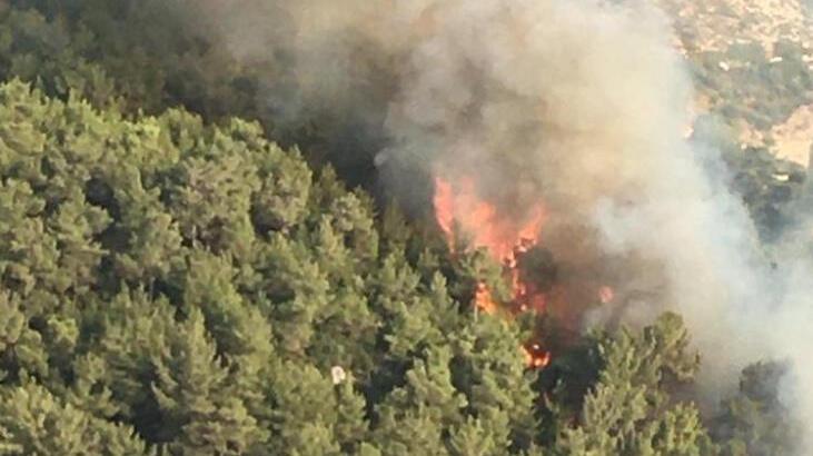 İzmir'de orman yangını! Ekipler müdahale ediyor