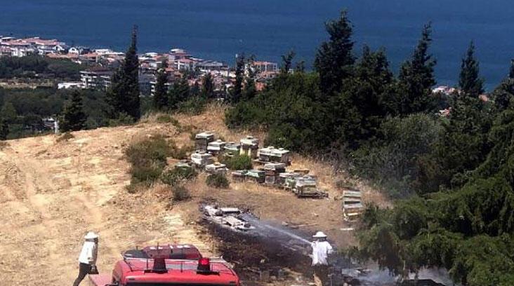 İzmir'de orman yangını