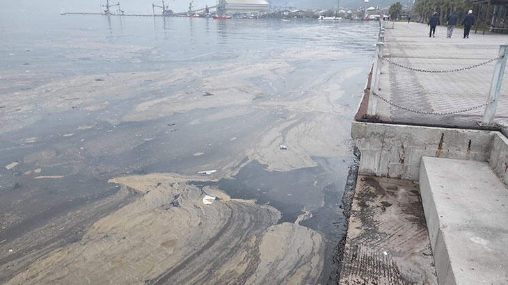 İzmit Körfezi'nde kimyasal kirlilik