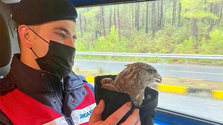 Jandarma yol denetimlerinde gördü! Son anda kurtardı