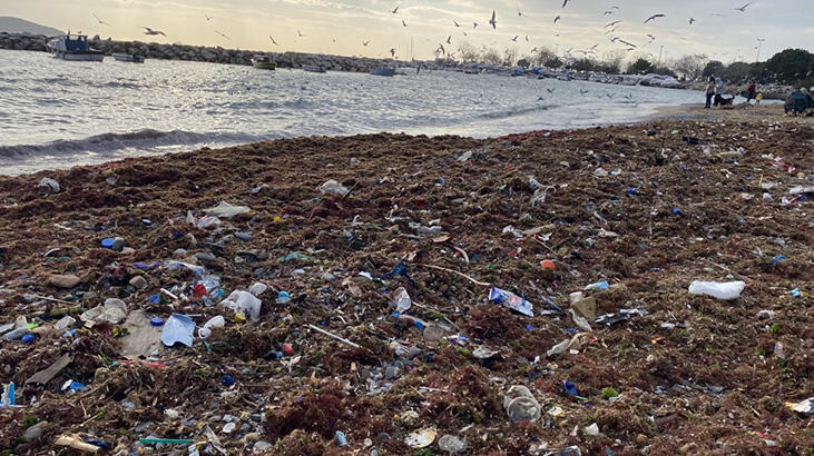 Kadıköy Suadiye Sahili'nde çöpler kıyıya vurdu