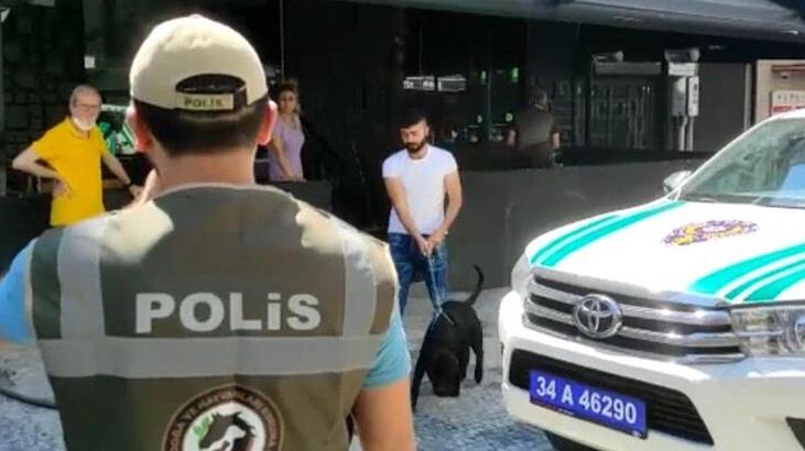 Kadıköy’de köpek saldırısı! Sahibine para cezası yağdı