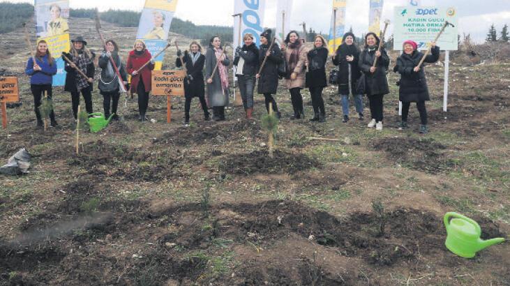 Kadınlar için 30 bin fidan