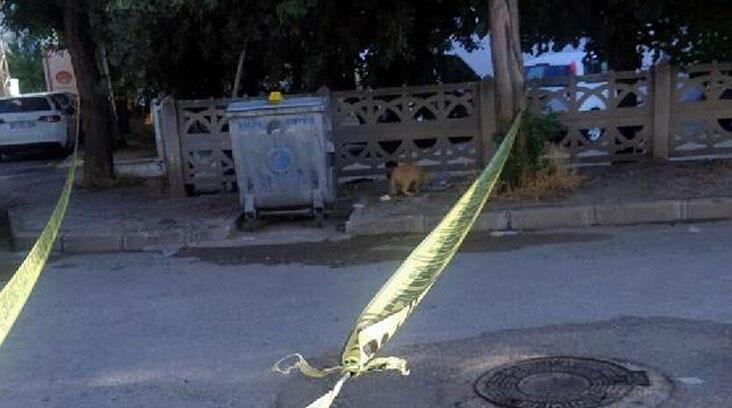 Kağıt toplayıcısı çöp konteynerinde bebek cesedi buldu