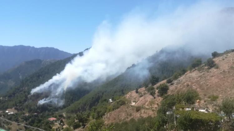 Kahramanmaraş'ta orman yangını! Havadan ve karadan müdahale ediliyor