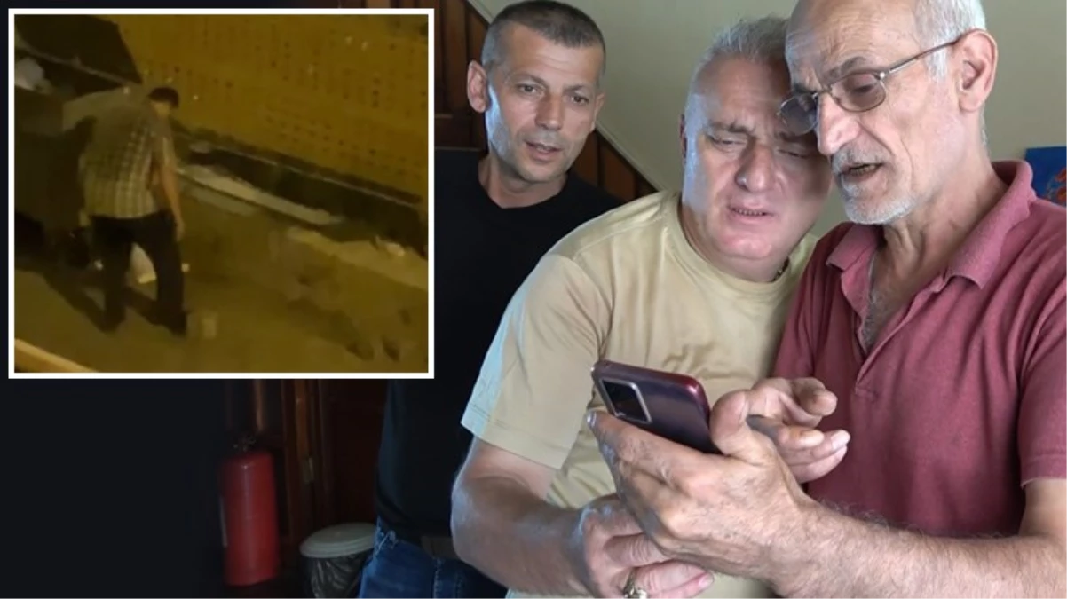 Kan donduran görüntü! Yavru kedileri ayaklarının altına alıp ezerek öldürdü