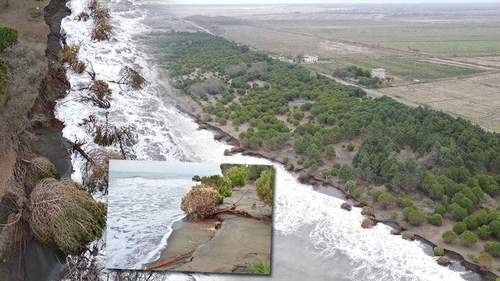 Karadeniz 150 metre kumsalı yuttu, evler tehdit altında