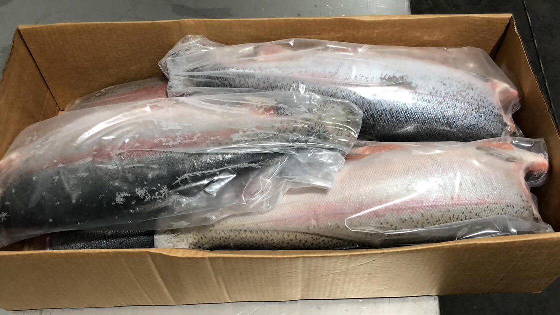 Karadeniz somonuna en çok Rusya rağbet gösterdi