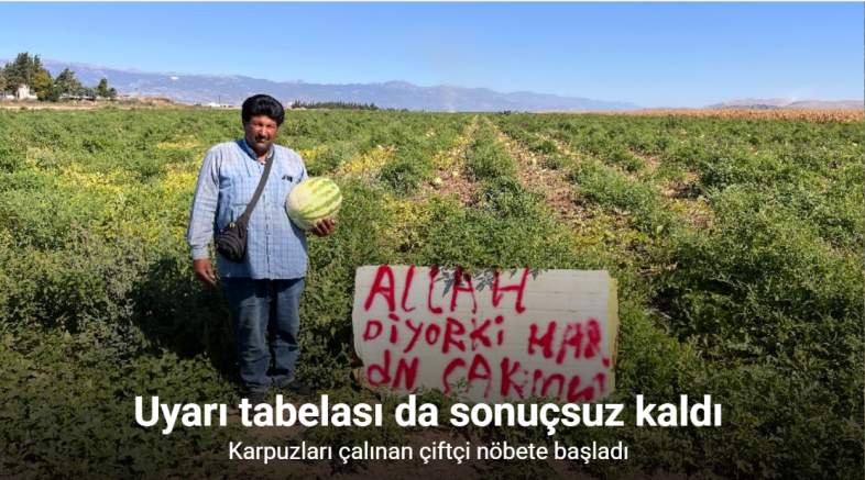 Karpuz hırsızlarıyla başa çıkmak için kibar ikazda bulunan çiftçinin çözümü sonuçsuz kalınca tarlada nöbete başladı