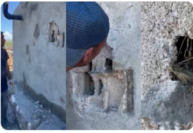 Kars’ta sıva altından gelen ses hayat kurtardı: Usta duvarı kırıp kuş yavrularını kurtardı