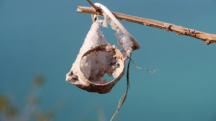 Karton bardaklardaki tehlike! Anne rahminden plasentaya kadar erişiyor