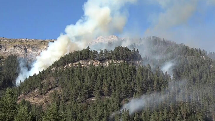 Kastamonu'da 'insan kastı' ile çıkan orman yangınları söndürüldü