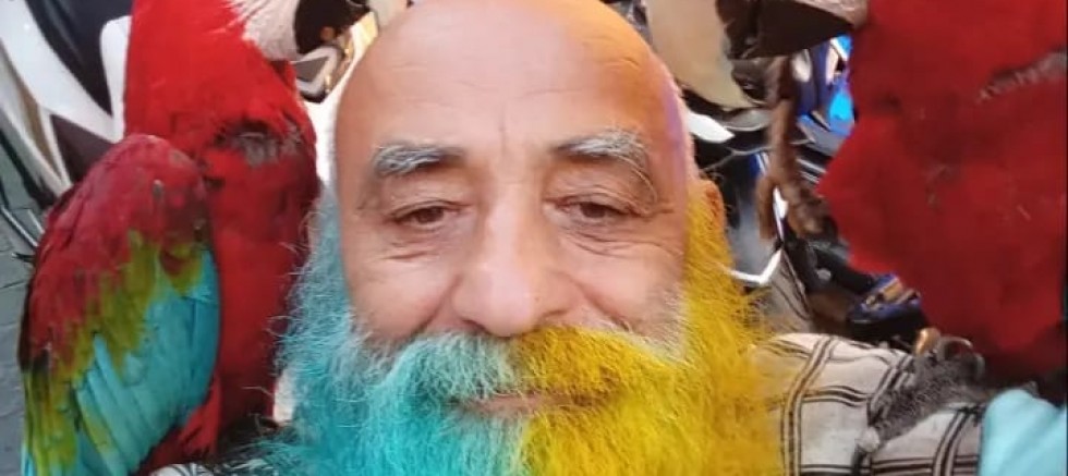 KAYIP ARANIYOR