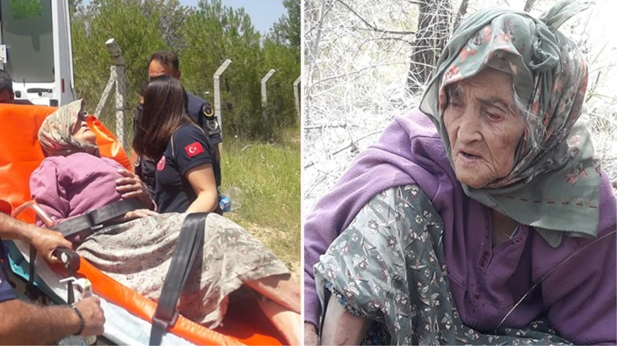 Kayıp olarak aranan 105 yaşındaki alzheimer hastası kadın 28 saat sonra bulundu