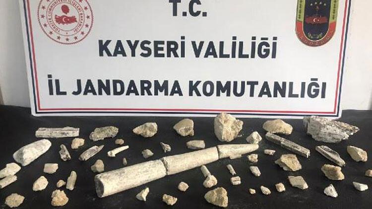 Kayseri'de fildişi fosili operasyonu