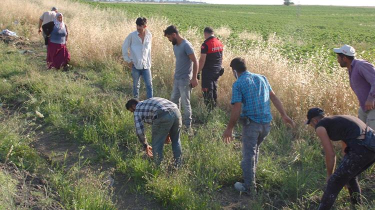 Kaza sonrası yaralının kopan parmağını aradılar