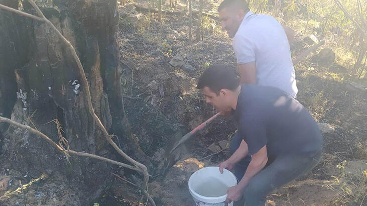 Keban'da bahçede çıkan yangın söndürüldü