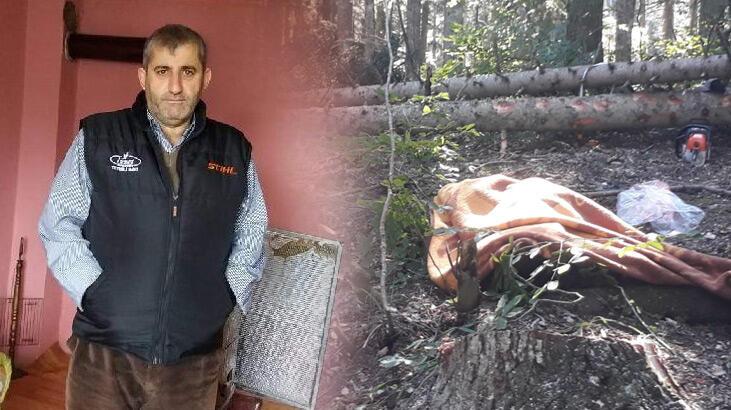 Kestiği ağacın altında kalan orman işçisi öldü
