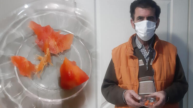 Kestiği domates eline iğne gibi battı