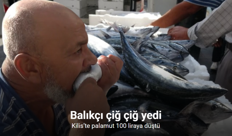 Kilis’te palamut 100 liraya düştü, balıkçı çiğ çiğ yedi