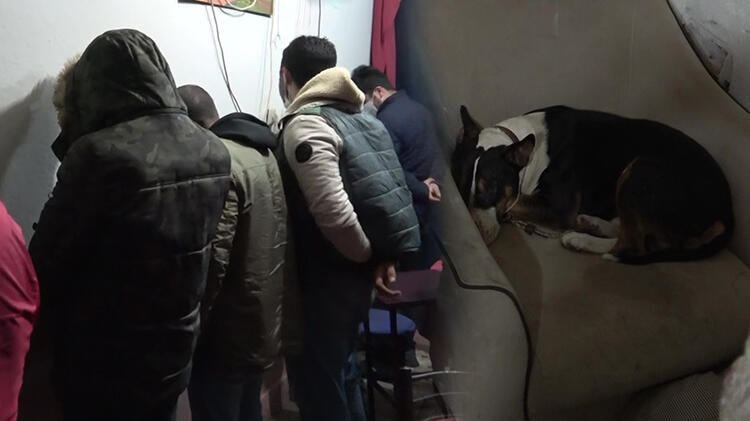 Kısıtlamada Pitbull korumalı kumarhaneye baskın!
