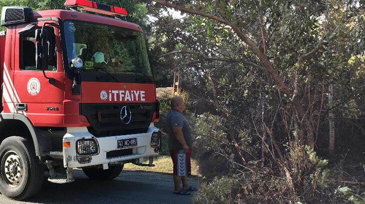 Kocaeli'nde çıkan orman yangını kontrol altına alındı