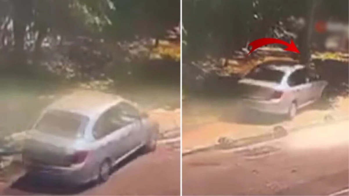 Komşusundan direksiyon dersi alan kadın sürücü ağaca çarptı! 4 kişinin yaralandığı kaza kamerada
