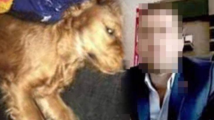 FLAŞ HABER Köpeğe cinsel saldırıda bulunup ölümüne neden olan sanık hakkında flaş karar!