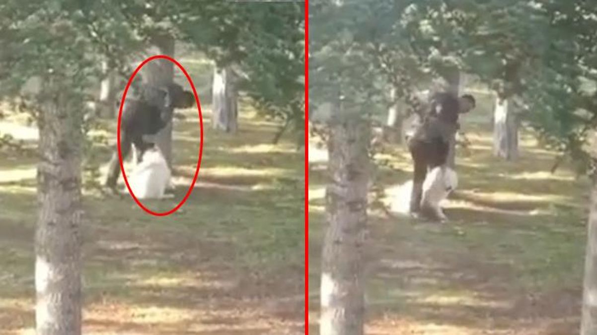 Köpeğe sopalı, yumruklu işkence! Hemen gözaltına alındı