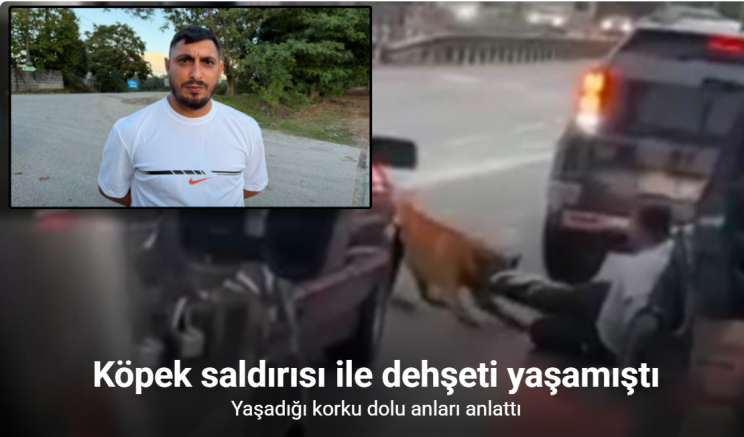 Köpeğin saldırısı ile dehşeti yaşamıştı: O anları anlattı