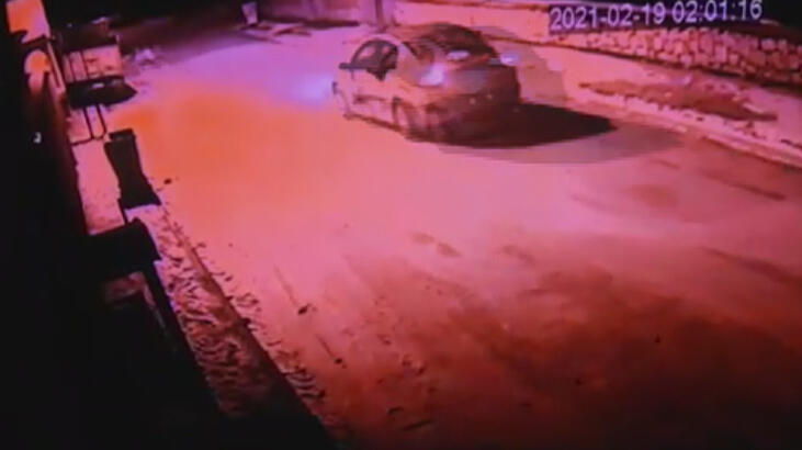 Köpeğin üstünden geçip, konteynere attılar! Dehşet anları...