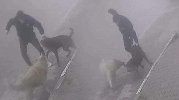 Köpeğine saldıran sokak köpeğini bıçakladı!