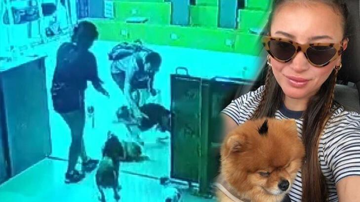 Köpek otelinde dehşet! Gözlerinin önünde öldürdü