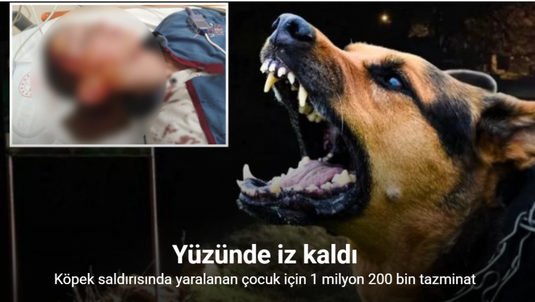 Köpek saldırısında yaralanan çocuk için 1 milyon 200 bin tazminat