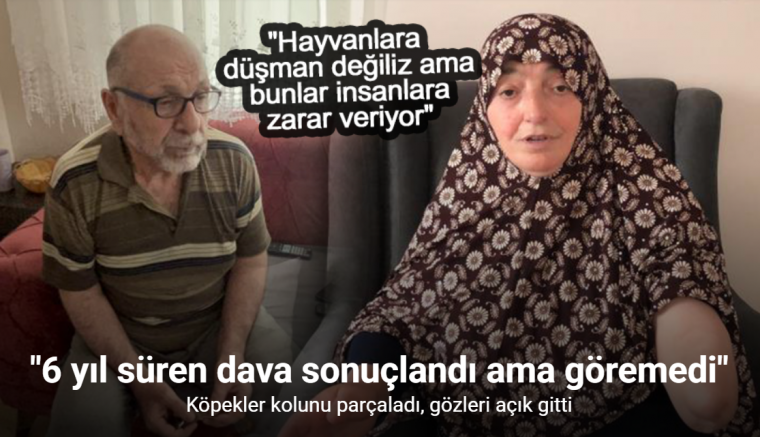 Köpekler kolunu parçaladı, gözleri açık gitti