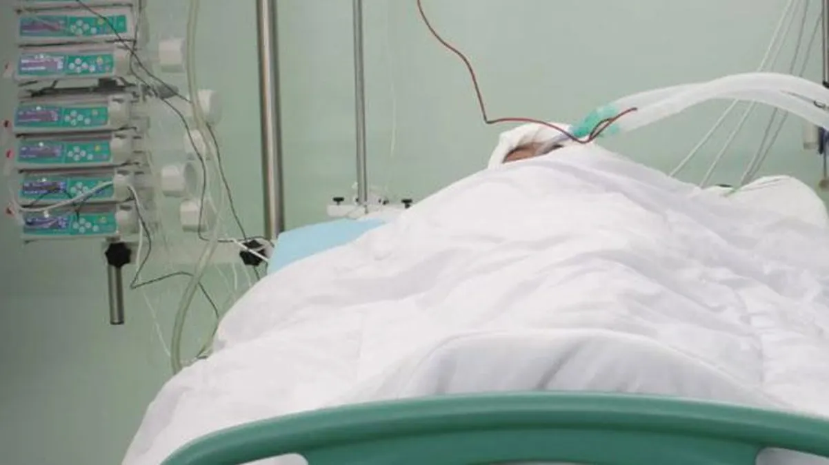 Korkulan hastalık geri döndü! Gümüşhane'de kene yapışan adamın ölümünün ardından uzmanlardan uyarı