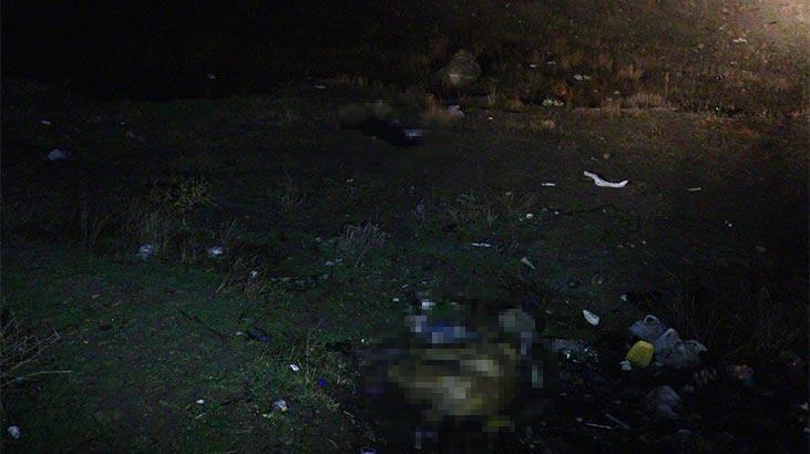 Korkunç! 4 yavru köpek son anda kurtarıldı