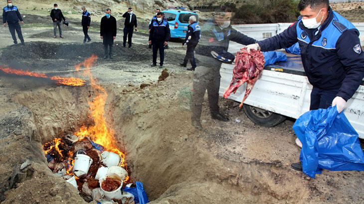 Kötü kokular yayılınca fark edildi! Yakılarak yok edildi