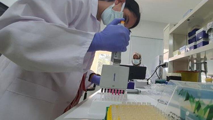 Kovid-19'da ezberleri bozacak çalışma! Detaylar ilk kez ortaya çıktı