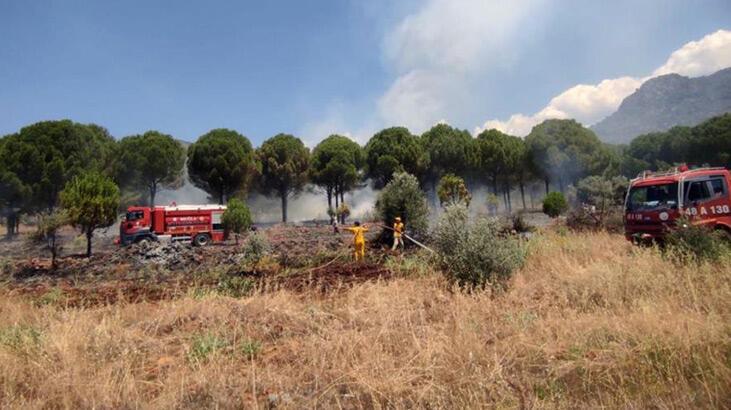 Köyceğiz’de orman yangını kısa sürede söndürüldü