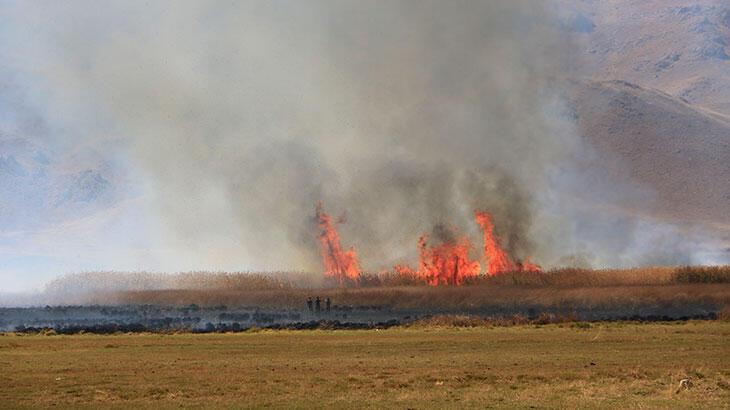 Kuş cennetinde sazlık yangını
