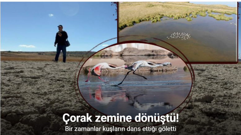 Kuşların dans ettiği Uylubağı göleti kuraklık nedeniyle çorak zemine dönüştü