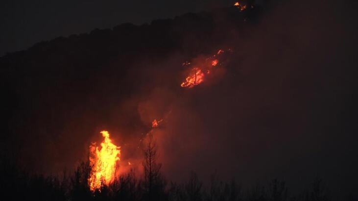 Kütahya ve Manisa'da orman yangını çıktı! İşte son durum