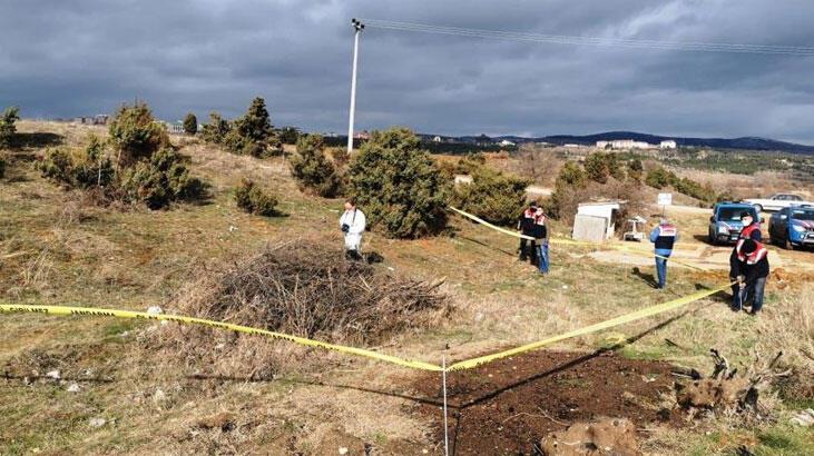 Kütahya'da ölü bulunan köpekler ile ilgili soruşturma başlatıldı