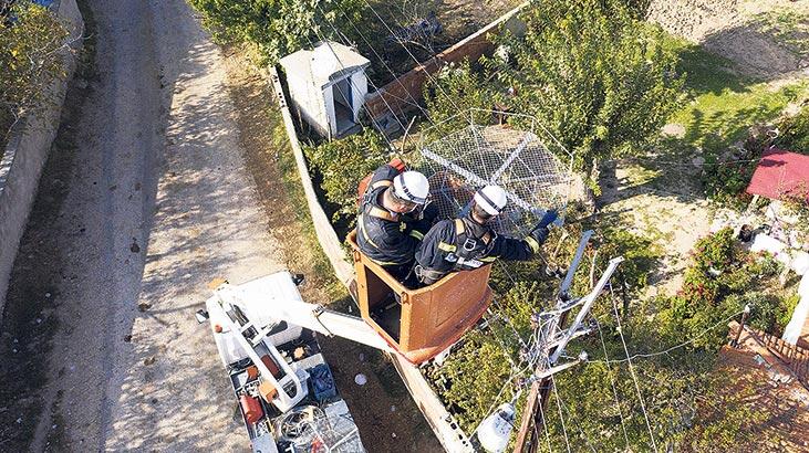 Leyleklere özel yuva