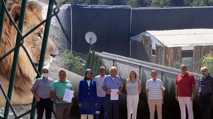Mahallede korku yaratan kükreme! 'Uyuyamıyoruz'
